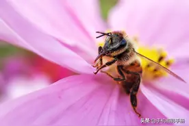 修图没思路？10年摄影经验，总结一套万能的后期流程，分享有缘人图片