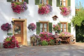 德国人假期生活：喜欢带孩子去乡村，度假是很重要的事情图片