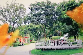 事关“520”领证，龙华准新人看过来🧐图片
