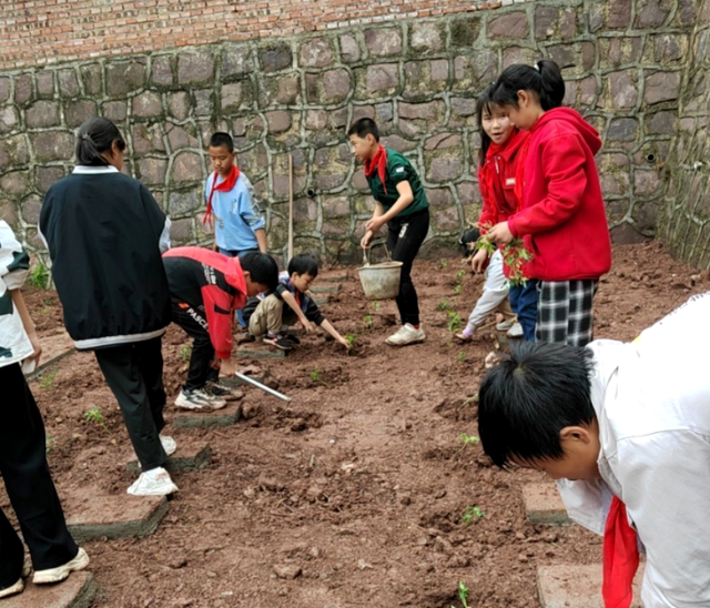 四川省民生研究会新媒体中心-官网