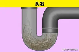 在生活中，你最好不要冲入马桶的8件物品图片