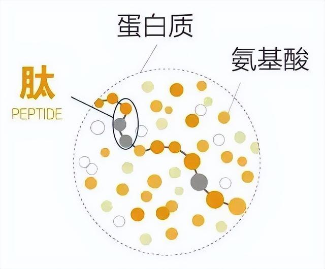 保健品都有哪些产品？保健品公司有哪些？