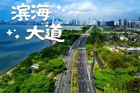 双向14车道！滨海大道下沉改造新进展来啦！图片