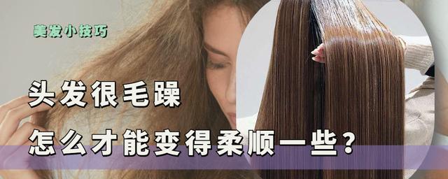 青尔风