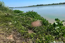 柬埔寨发现一具外国男子尸体，蜷缩在行李箱中图片