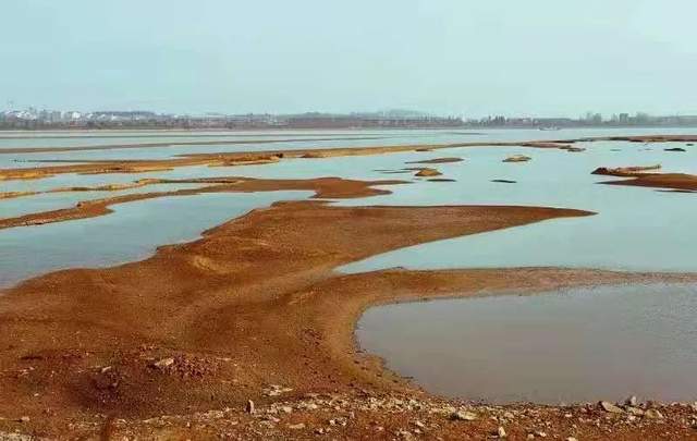柳叶湖建区30周年回眸｜从绿水青山到金山银山的蝶变之路(图31)