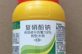 “复硝酚钠”植物生长神器，用法与浓度最关键，搞不好就是抑制剂图片