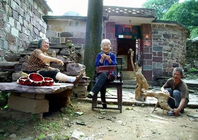 2023年两会你最关注什么
