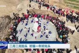 我们的节日 | 济宁：二月二龙抬头 祈福一年好兆头图片