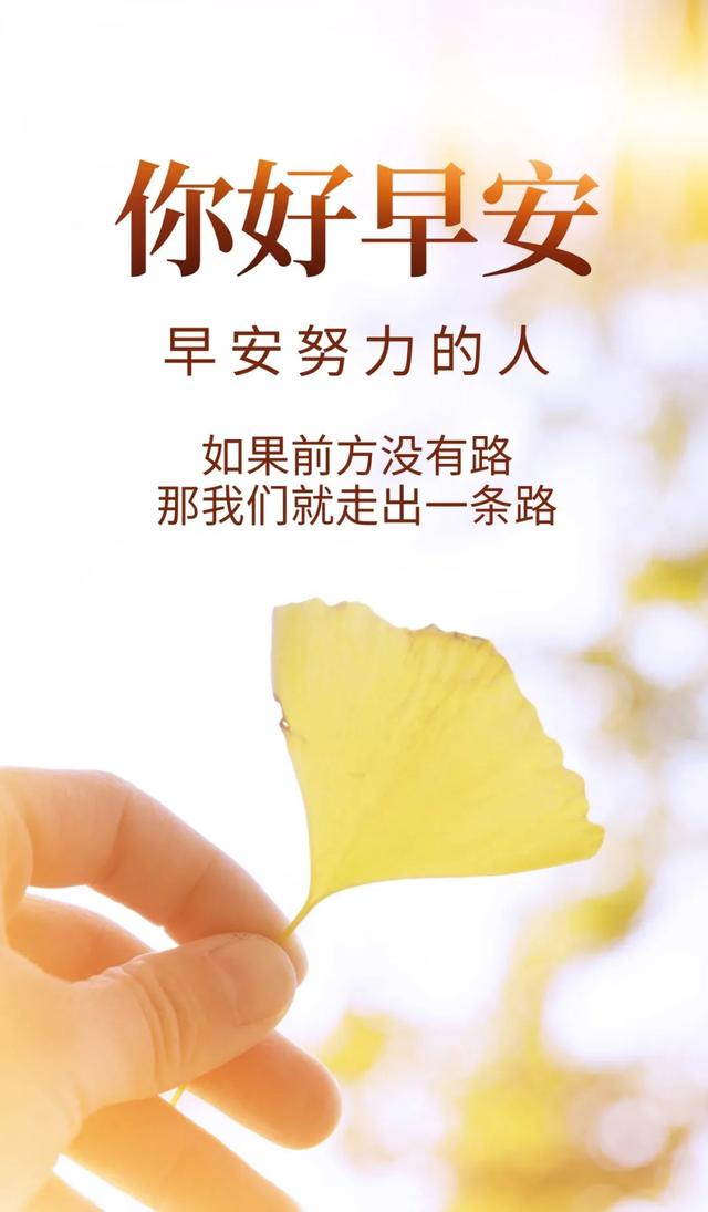 29」早安心语,正能量唯美语录句子 早上好问候最美图片