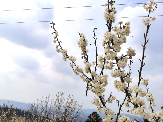 四川省民生研究会新媒体中心-官网