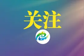 打造文明之城 共沐文明新风——2022年平南县创建自治区文明城市工作综述图片