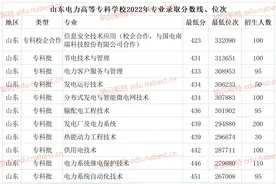 山东电力高等专科学校2022年专业录取分数线、位次图片