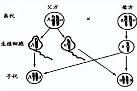 父母家族都没有肌营养不良症，为什么宝宝却得了DMD肌营养不良症图片