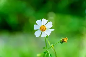 婚姻中，男人对女人的称呼，藏着他内心对妻子的态度图片