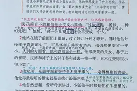 六年级语文下第6课《骑鹅旅行记》课堂笔记及课外拓展知识，保存图片