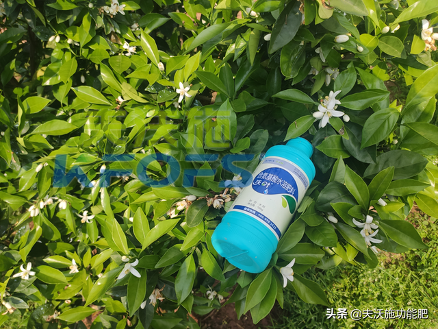 氨基酸水溶肥哪家好？有答案了