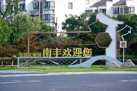 张家港人，你真的懂南丰吗？图片