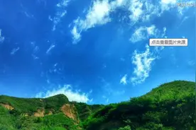 孙国友和万亩大造林图片