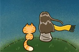 养猫后，人会发生什么变化？图片