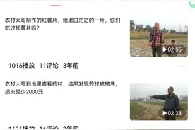 浅谈农民鲁智深图片