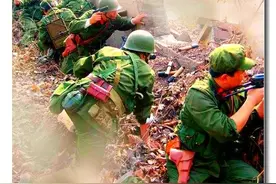 1979年对越自卫还击作战参战部队（全）图片