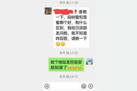 常有人问我，椴树蜜和雪蜜哪个好？想了半天斗胆说说蜂蜜的那些事图片