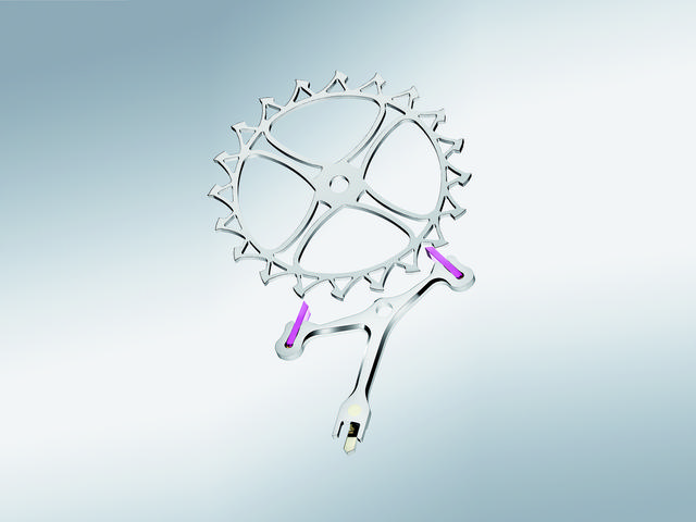 ��꿽�ʣ�Ϊʲô��Ҷ���������ʿ��