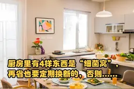 厨房里有4样东西是“菌巢”，要定期更换！图片