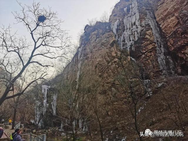 上苇甸村 上苇甸村海拔(图38) 上苇甸村 上苇甸村海拔(图38)