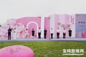 宝鸡：工会“红娘”搭鹊桥 单身男女觅良缘图片