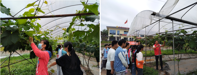 四川省民生研究会新媒体中心-官网