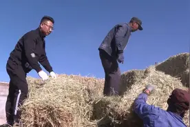 高台小伙网上卖草、卖锯末，一年能赚十多万图片