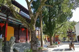 修行者认为做梦是怎么回事？图片