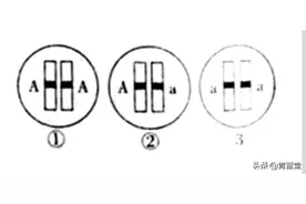 2021年江西省中考生物真题图片