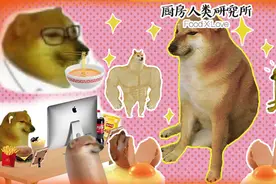 刷屏几亿人表情包的柴犬Cheems，正成为下一个Doge图片