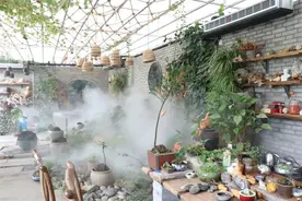 【行走河南·读懂中国】欢度国庆节 喜迎二十大 | 漯河推出4条幸福乡村生态游线路图片