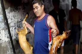 一年吃200万条狗，政府也束手无策，为啥韩国人对狗肉情有独钟？图片