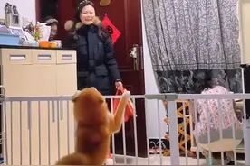 广东一女同事来家里做客，狗子见到她就激动跳舞，主人：遇到女神图片