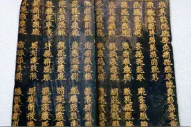 《象雄大藏经》：声音操控石头飞天，胚胎发育过程被精准描绘图片