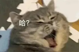 表情包 得偿所愿是世间最好的惊喜图片