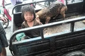 2015年一男孩被养在猪圈，7岁仍不会说话，父亲：亲生的，没钱图片