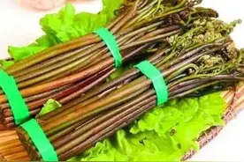 蕨菜，又叫拳头菜、猫爪、龙头菜图片