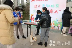 推出宠物管理新举措 苏州这里每只小狗都有“微档案”图片