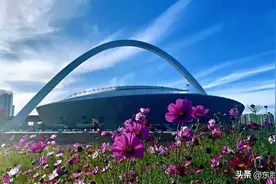 东胜“菜篮子”寻找合伙人啦！图片