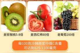 德国科学家证实：沙棘原浆含有超高抗氧化物，能轻松抗衰老！图片
