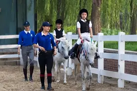 “为何有钱人与穷人家孩子一眼可辨？” 网友真实经历给出扎心答案图片