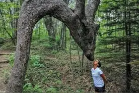 大千世界无奇不有，大自然鬼斧神工造就了我们难见的奇观图片