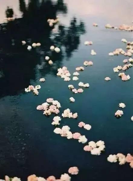 情感散文：落 寞 夏 夜