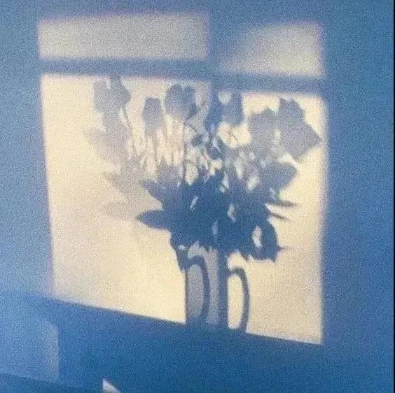 һЩ����Ȧ�İ�